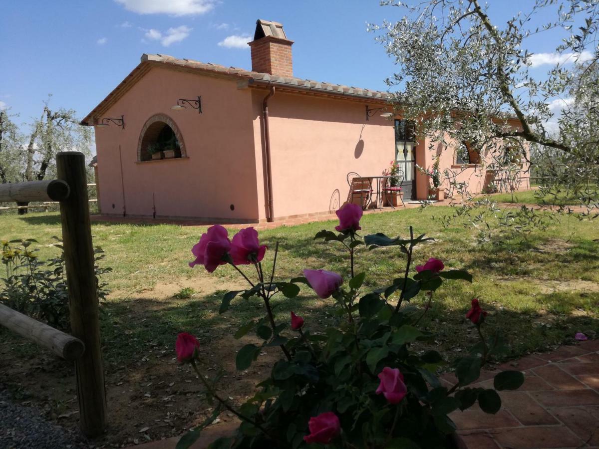 Agriturismo Il Loghino Palaia Exteriér fotografie
